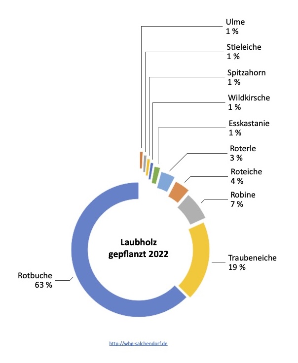 Grafische Auswertung gepflanzter Laubbäume 2022